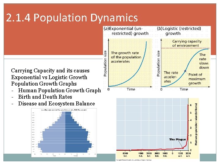 2. 1. 4 Population Dynamics Carrying Capacity and its causes Exponential vs Logistic Growth