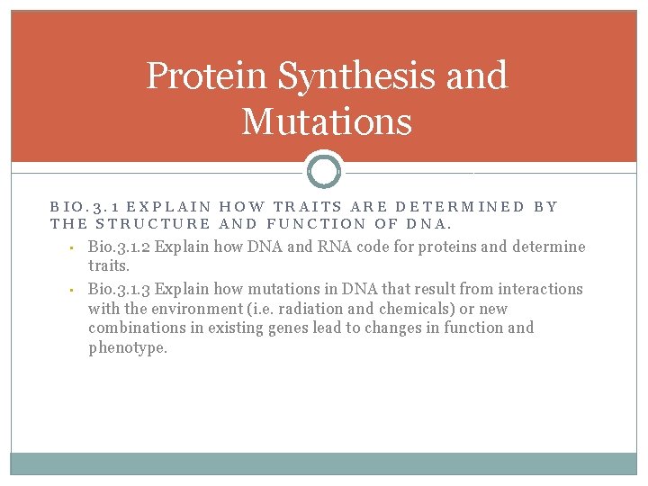 Protein Synthesis and Mutations BIO. 3. 1 EXPLAIN HOW TRAITS ARE DETERMINED BY THE