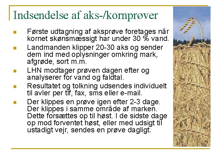 Indsendelse af aks-/kornprøver n n n Første udtagning af aksprøve foretages når kornet skønsmæssigt