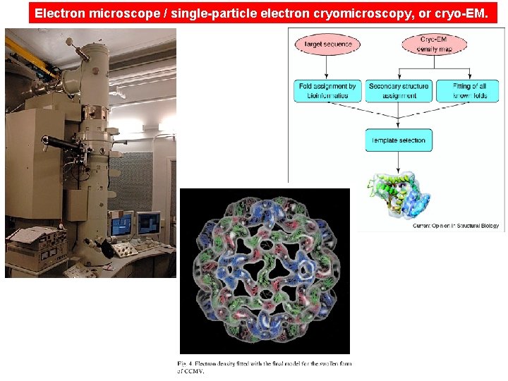 Electron microscope / single-particle electron cryomicroscopy, or cryo-EM. 