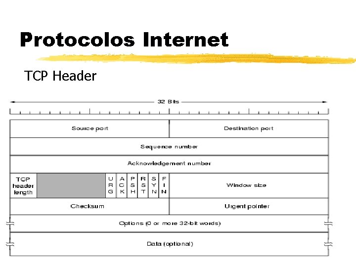 Protocolos Internet TCP Header 