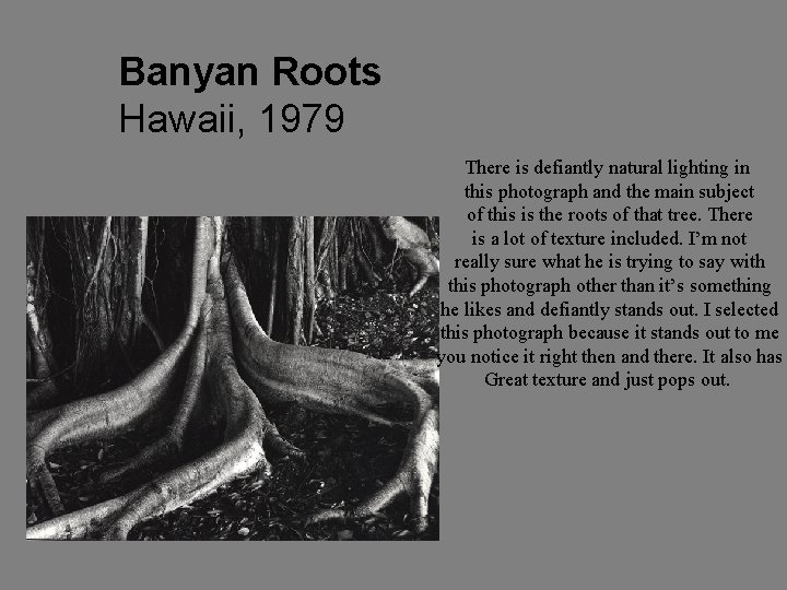 Banyan Roots Hawaii, 1979 There is defiantly natural lighting in this photograph and the