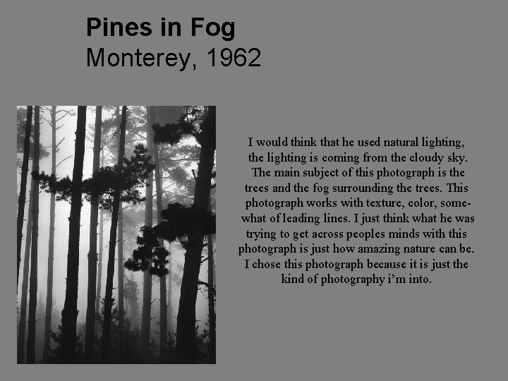 Pines in Fog Monterey, 1962 I would think that he used natural lighting, the