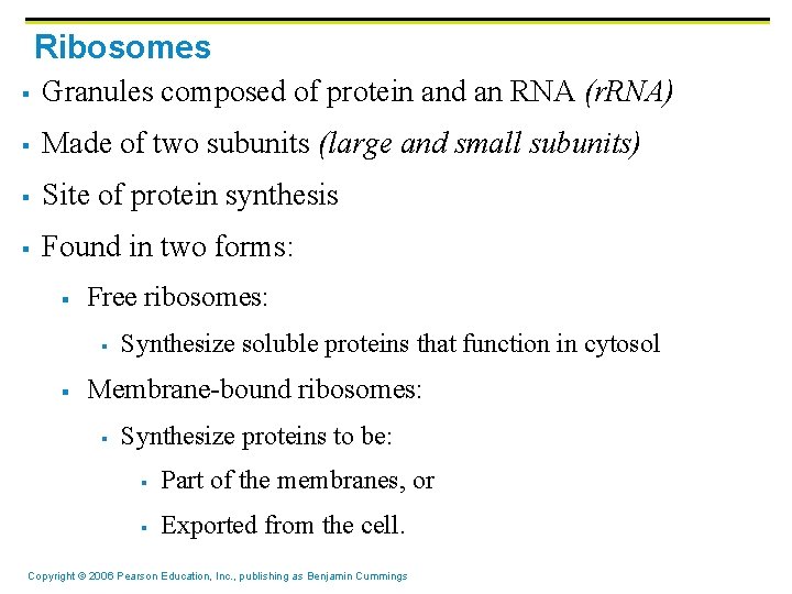 Ribosomes § Granules composed of protein and an RNA (r. RNA) § Made of