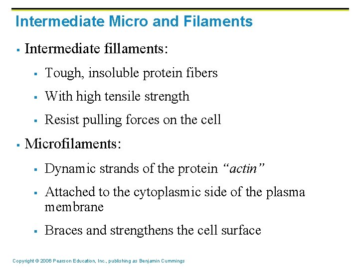 Intermediate Micro and Filaments § § Intermediate fillaments: § Tough, insoluble protein fibers §