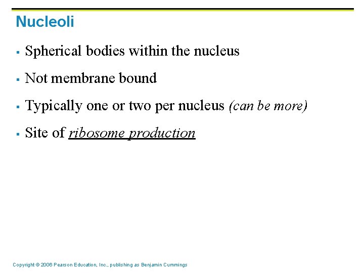 Nucleoli § Spherical bodies within the nucleus § Not membrane bound § Typically one