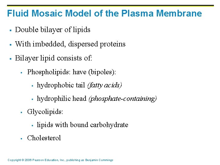 Fluid Mosaic Model of the Plasma Membrane § Double bilayer of lipids § With
