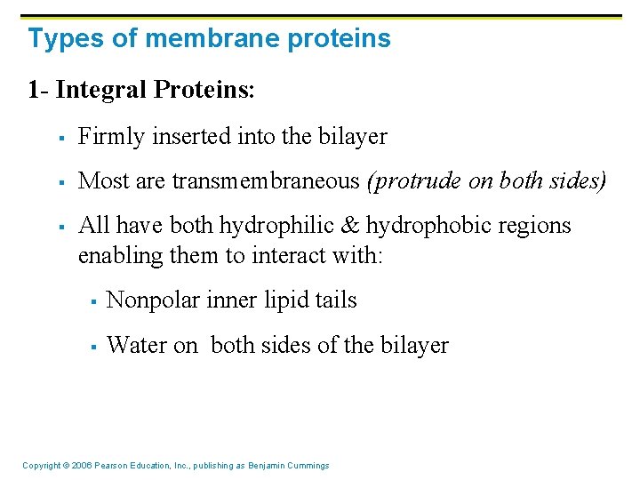 Types of membrane proteins 1 - Integral Proteins: § Firmly inserted into the bilayer