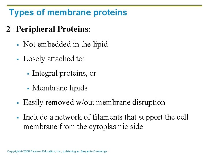 Types of membrane proteins 2 - Peripheral Proteins: § Not embedded in the lipid