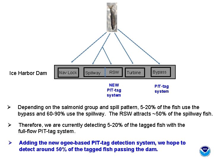 Ice Harbor Dam Nav Lock Spillway RSW NEW PIT-tag system Turbine Bypass PIT-tag system