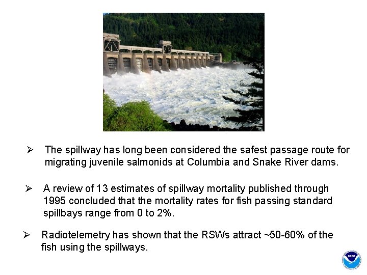 Ø The spillway has long been considered the safest passage route for migrating juvenile