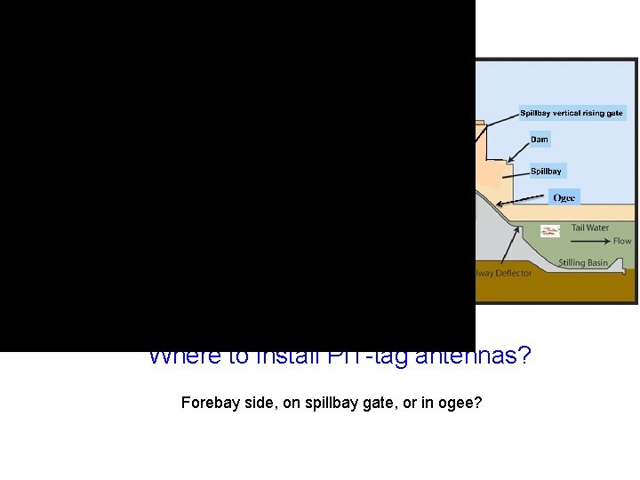 Design considerations Where to install PIT-tag antennas? Forebay side, on spillbay gate, or in