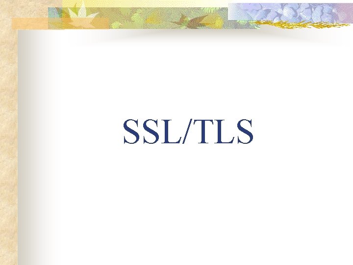 SSL/TLS 