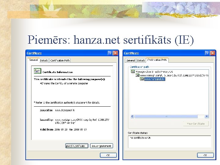 Piemērs: hanza. net sertifikāts (IE) 