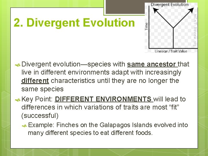 2. Divergent Evolution Divergent evolution—species with same ancestor that live in different environments adapt