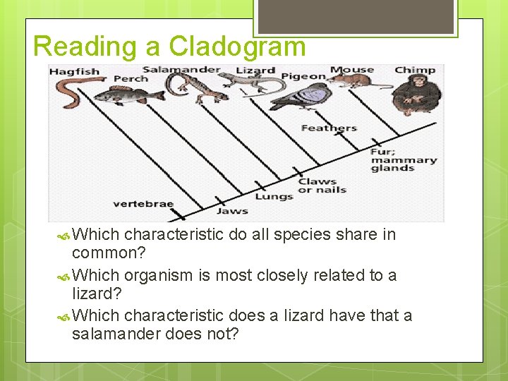 Reading a Cladogram Which characteristic do all species share in common? Which organism is