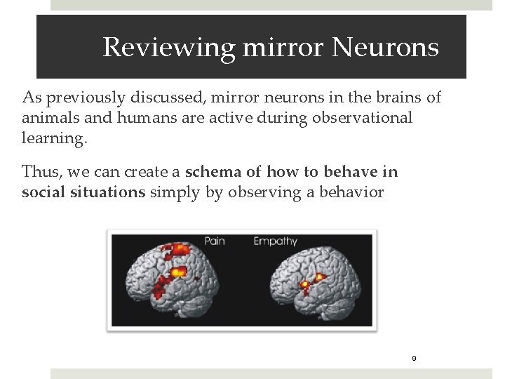 Reviewing mirror Neurons As previously discussed, mirror neurons in the brains of animals and