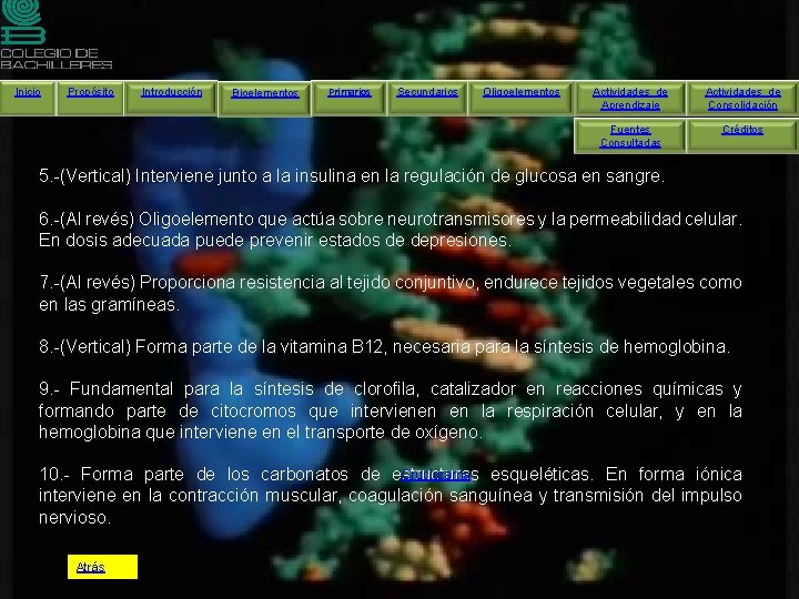 Inicio Propósito Introducción Bioelementos Primarios Secundarios Oligoelementos Actividades de Aprendizaje Actividades de Consolidación Fuentes