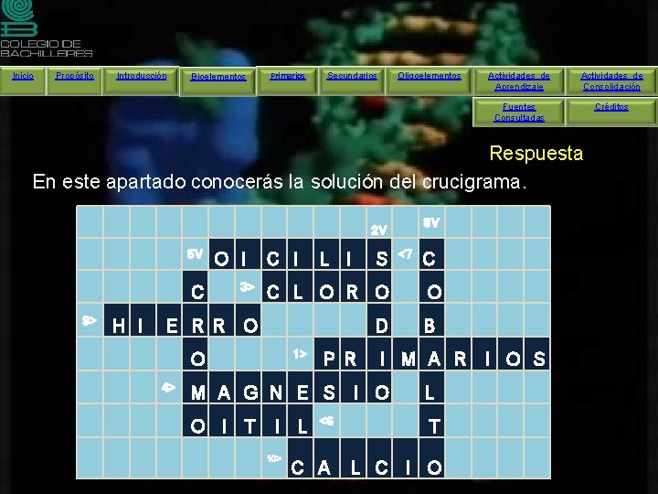 Inicio Propósito Introducción Bioelementos Primarios Secundarios Oligoelementos Actividades de Aprendizaje Actividades de Consolidación Fuentes