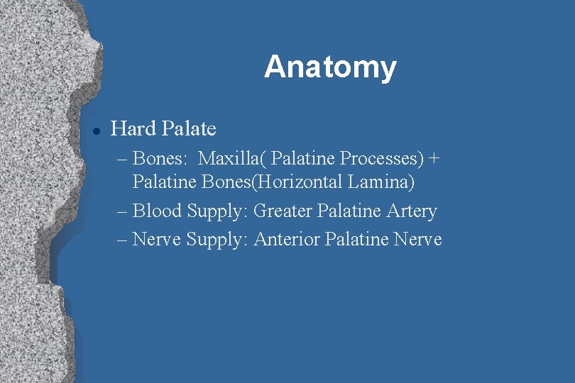 Anatomy l Hard Palate – Bones: Maxilla( Palatine Processes) + Palatine Bones(Horizontal Lamina) –