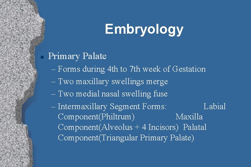 Embryology l Primary Palate – Forms during 4 th to 7 th week of