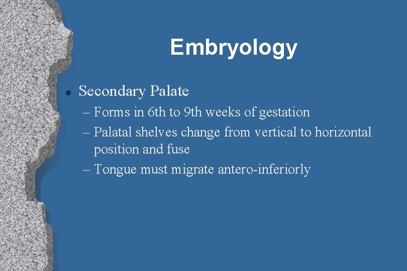 Embryology l Secondary Palate – Forms in 6 th to 9 th weeks of