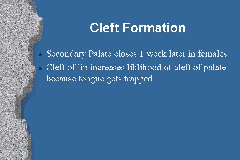 Cleft Formation l l Secondary Palate closes 1 week later in females Cleft of