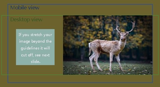 Mobile view Desktop view If you stretch your image beyond the guidelines it will Mobile view Desktop view If you stretch your image beyond the guidelines it will