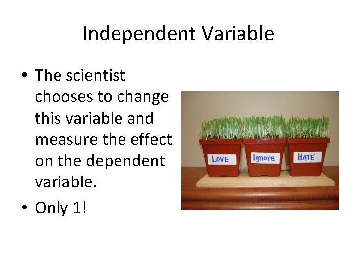 Independent Variable • The scientist chooses to change this variable and measure the effect
