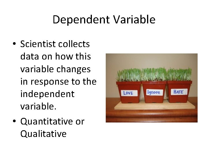 Dependent Variable • Scientist collects data on how this variable changes in response to
