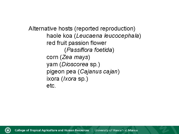 Alternative hosts (reported reproduction) haole koa (Leucaena leucocephala) red fruit passion flower (Passiflora foetida)