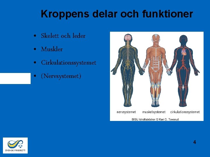 Kroppens delar och funktioner • • Skelett och leder Muskler Cirkulationssystemet (Nervsystemet) 4 