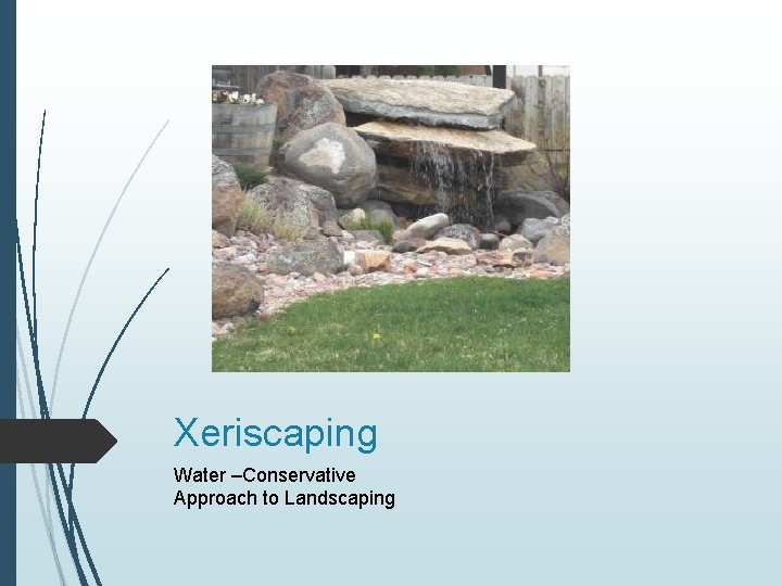 Xeriscaping Water –Conservative Approach to Landscaping 
