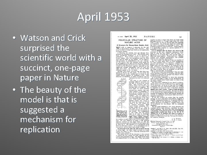 April 1953 • Watson and Crick surprised the scientific world with a succinct, one-page