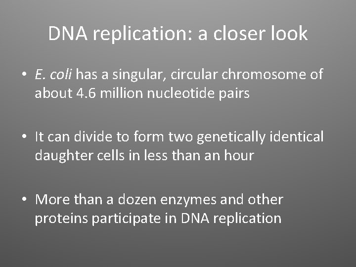 DNA replication: a closer look • E. coli has a singular, circular chromosome of