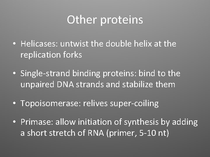 Other proteins • Helicases: untwist the double helix at the replication forks • Single-strand