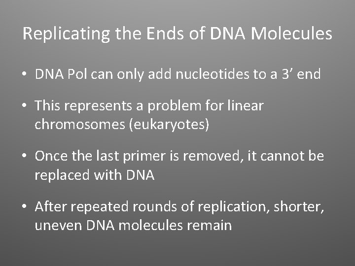 Replicating the Ends of DNA Molecules • DNA Pol can only add nucleotides to