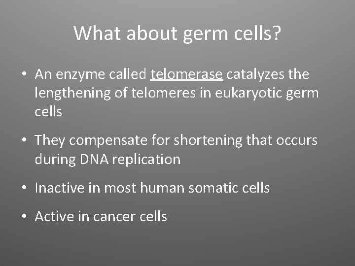 What about germ cells? • An enzyme called telomerase catalyzes the lengthening of telomeres