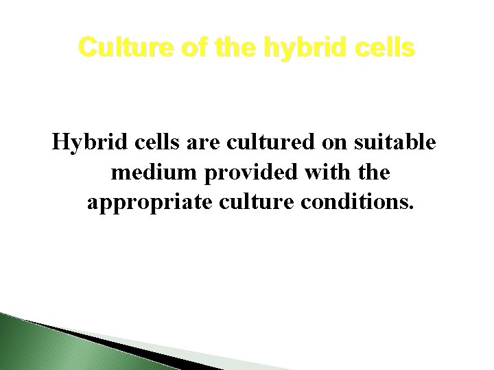 Culture of the hybrid cells Hybrid cells are cultured on suitable medium provided with