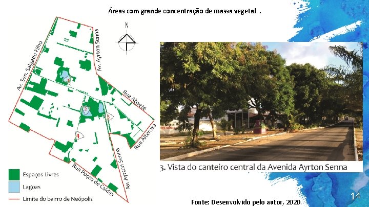 Áreas com grande concentração de massa vegetal. Fonte: Desenvolvido pelo autor, 2020. 14 