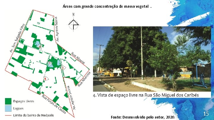 Áreas com grande concentração de massa vegetal. Fonte: Desenvolvido pelo autor, 2020. 15 