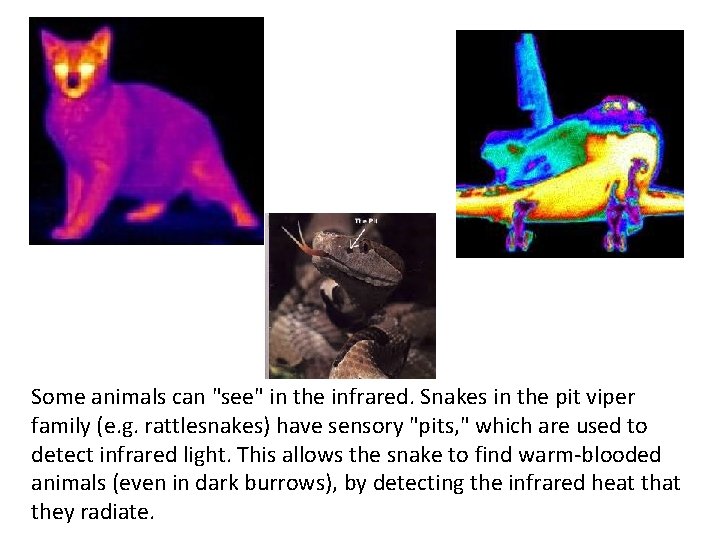 Some animals can "see" in the infrared. Snakes in the pit viper family (e.
