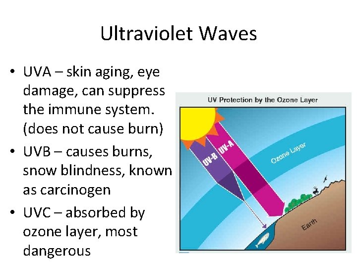 Ultraviolet Waves • UVA – skin aging, eye damage, can suppress the immune system.