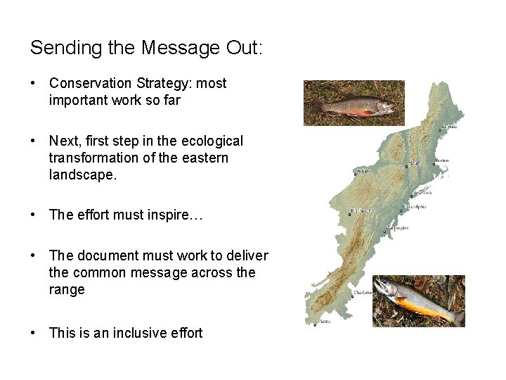 Sending the Message Out: • Conservation Strategy: most important work so far • Next,