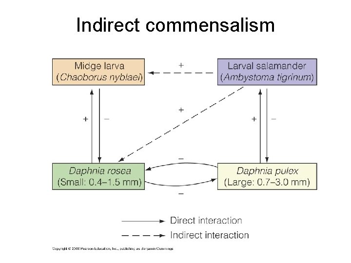 Indirect commensalism 