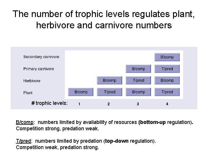 The number of trophic levels regulates plant, herbivore and carnivore numbers # trophic levels:
