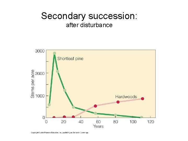 Secondary succession: after disturbance 