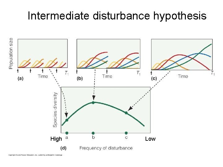 Intermediate disturbance hypothesis High Low 