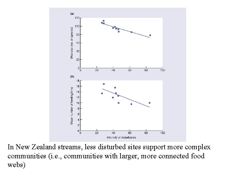 In New Zealand streams, less disturbed sites support more complex communities (i. e. ,