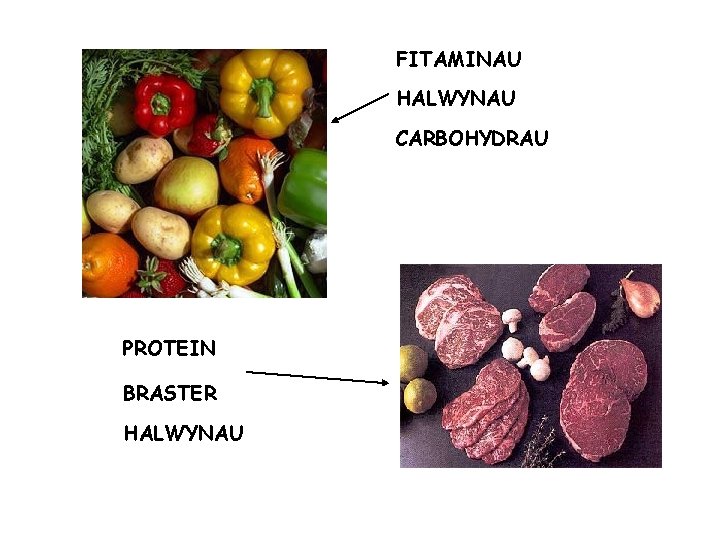 FITAMINAU HALWYNAU CARBOHYDRAU PROTEIN BRASTER HALWYNAU 